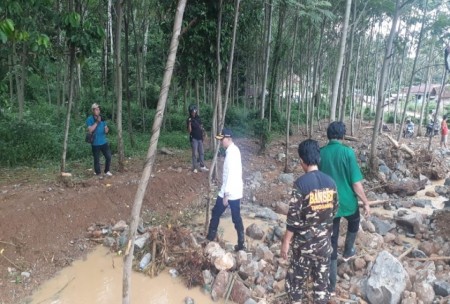 21+ Dampak pembalakan liar yang menyebabkan hutan gundul adalah information
